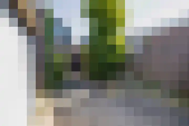 van Hogendorpstraat 34 Krommenie thumbnail 31
