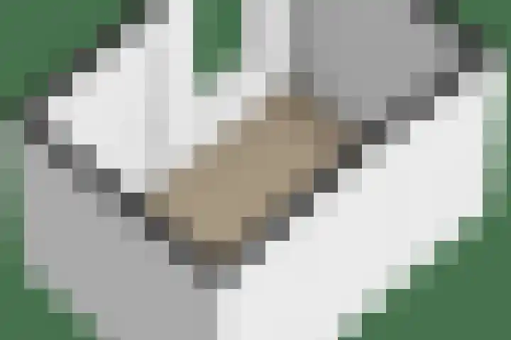 van Hogendorpstraat 34 Krommenie thumbnail 36
