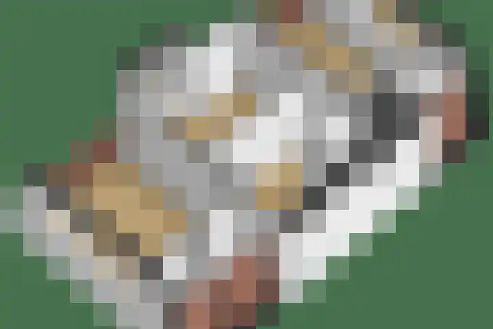 van Hogendorpstraat 34 Krommenie thumbnail 38