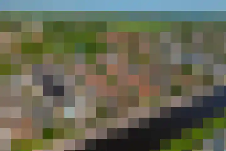 van Hogendorpstraat 34 Krommenie thumbnail 4