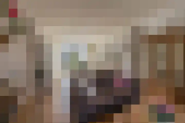 van Hogendorpstraat 38 Krommenie thumbnail 12
