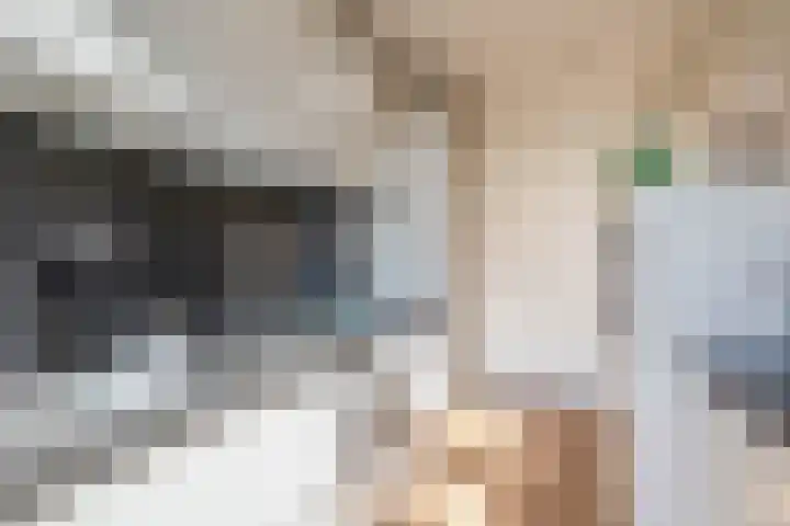 van Hogendorpstraat 38 Krommenie thumbnail 16