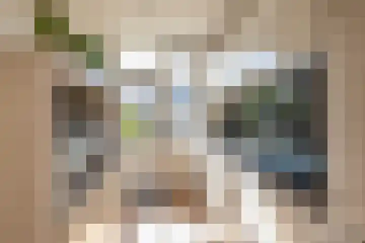 van Hogendorpstraat 38 Krommenie thumbnail 18