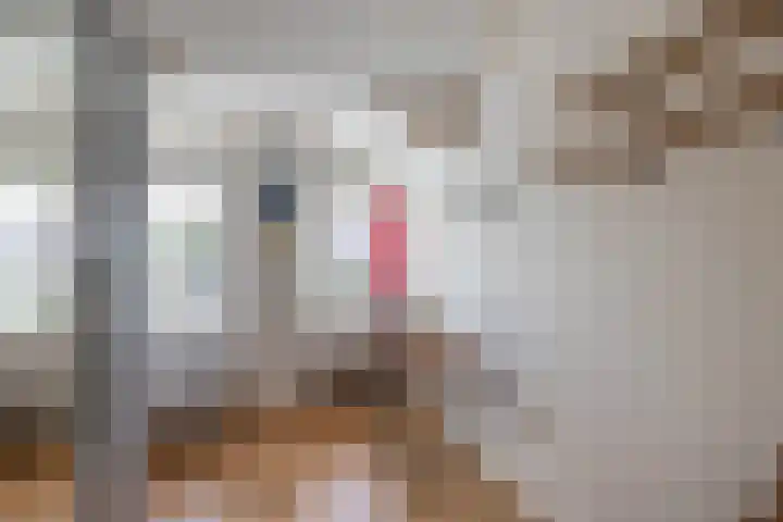 van Hogendorpstraat 38 Krommenie thumbnail 26