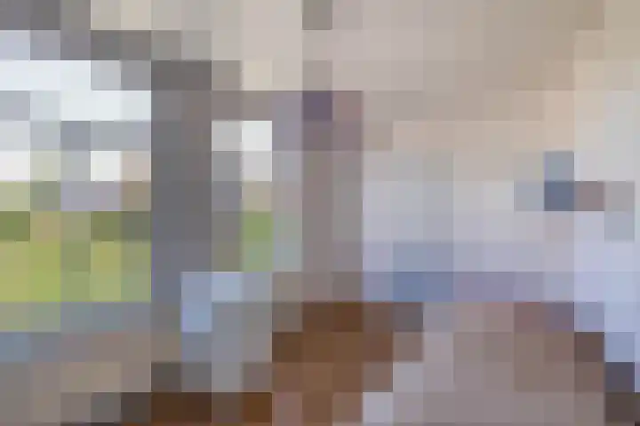 van Hogendorpstraat 38 Krommenie thumbnail 27
