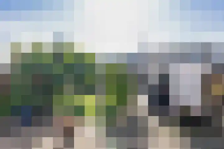 van Hogendorpstraat 38 Krommenie thumbnail 29