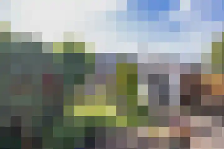 van Hogendorpstraat 38 Krommenie thumbnail 30