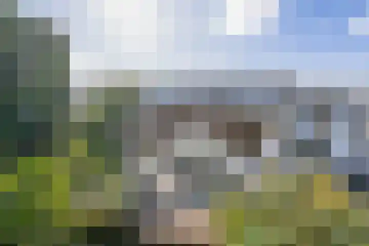 van Hogendorpstraat 38 Krommenie thumbnail 31
