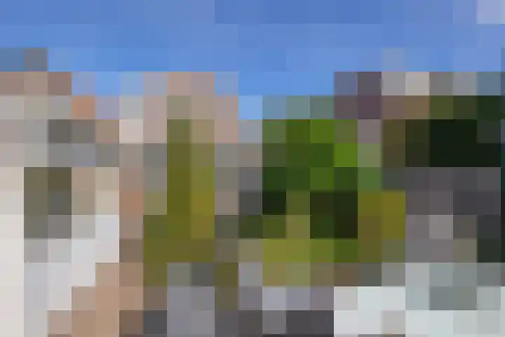 van Hogendorpstraat 38 Krommenie thumbnail 32