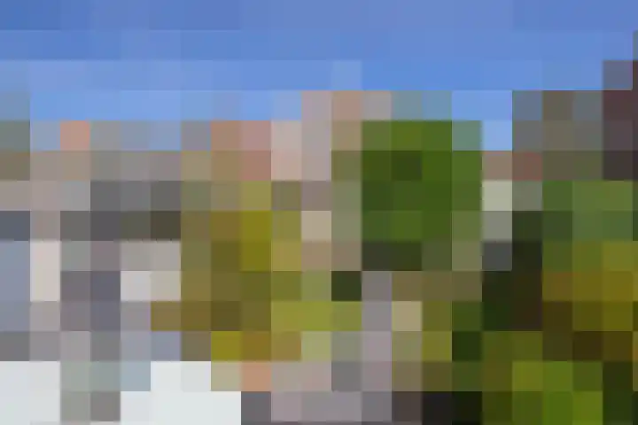 van Hogendorpstraat 38 Krommenie thumbnail 4