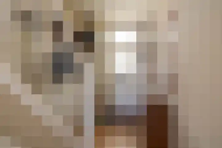 van Hogendorpstraat 38 Krommenie thumbnail 8