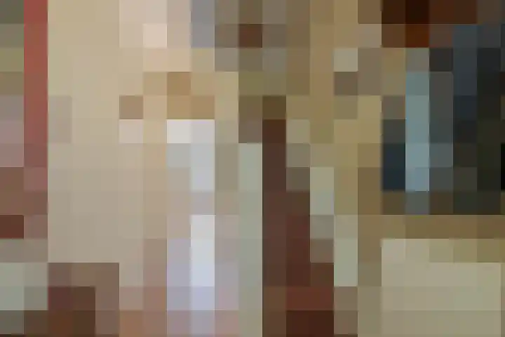 van Hogendorpstraat 38 Krommenie thumbnail 9