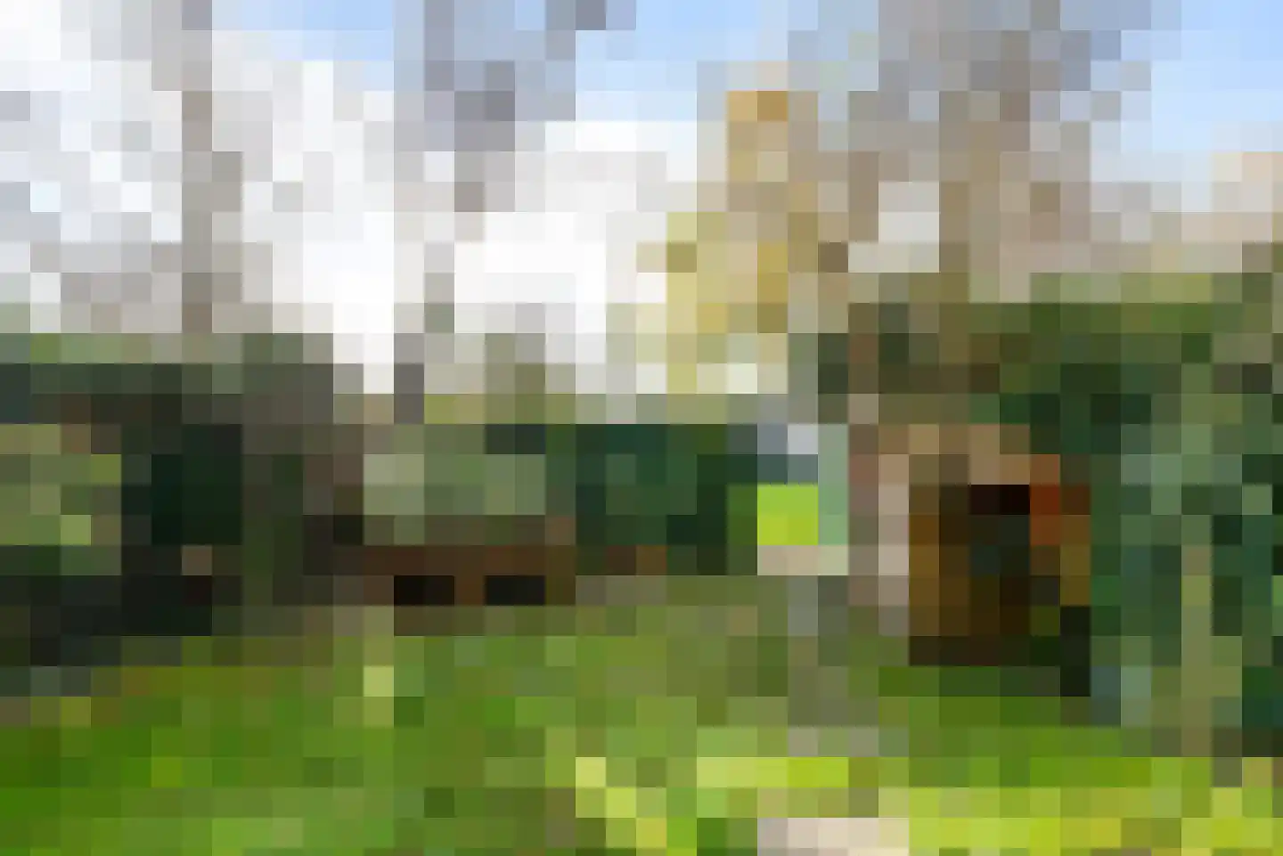 Van Hogendorpstraat 39 Haarlem thumbnail 11