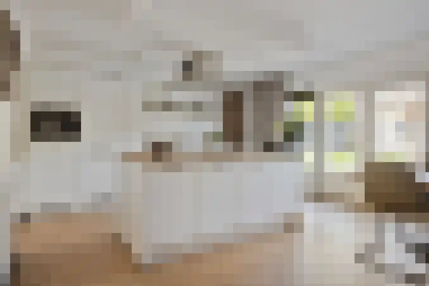 van Hogendorpstraat 4 Dinteloord thumbnail 11