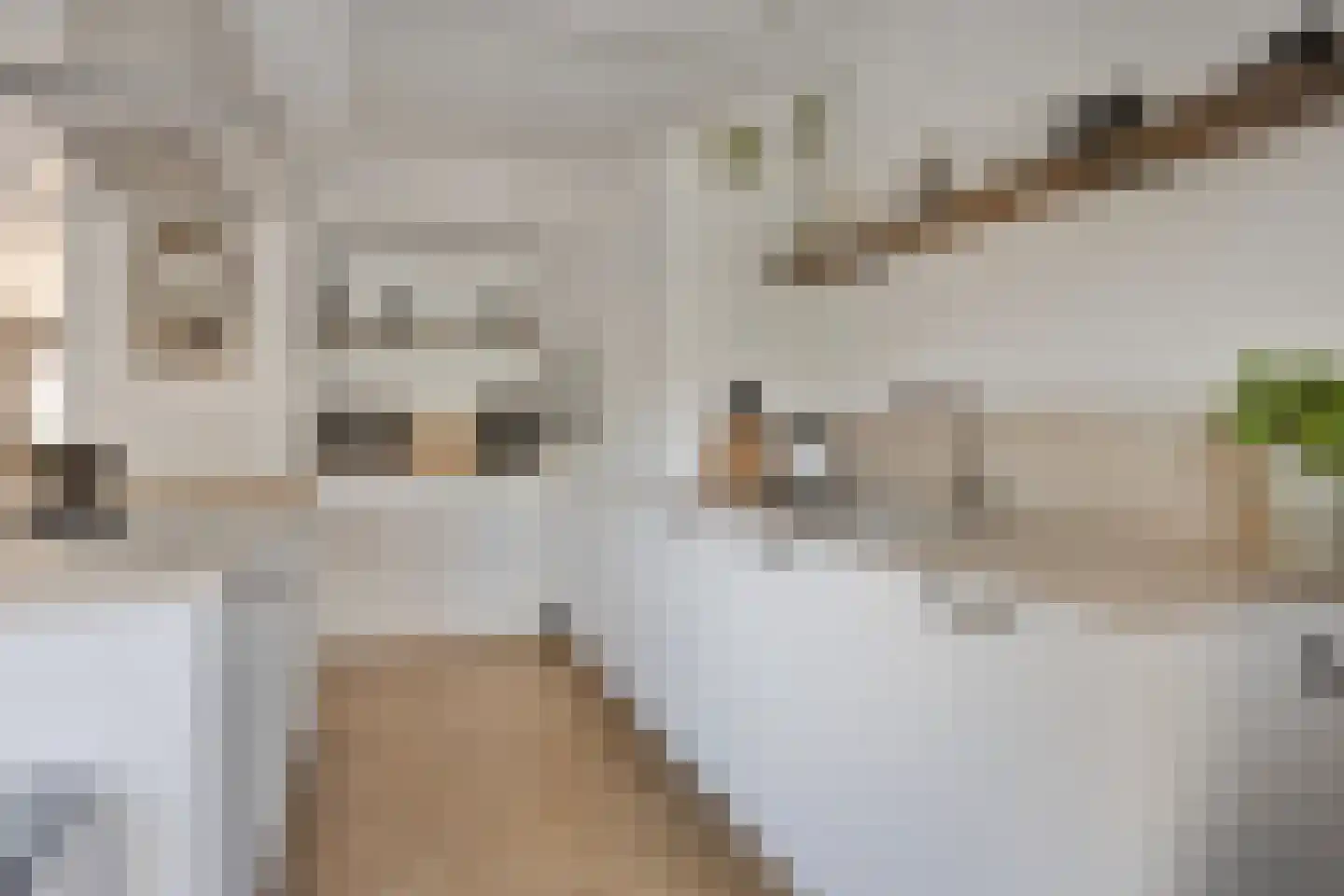 van Hogendorpstraat 4 Dinteloord thumbnail 12