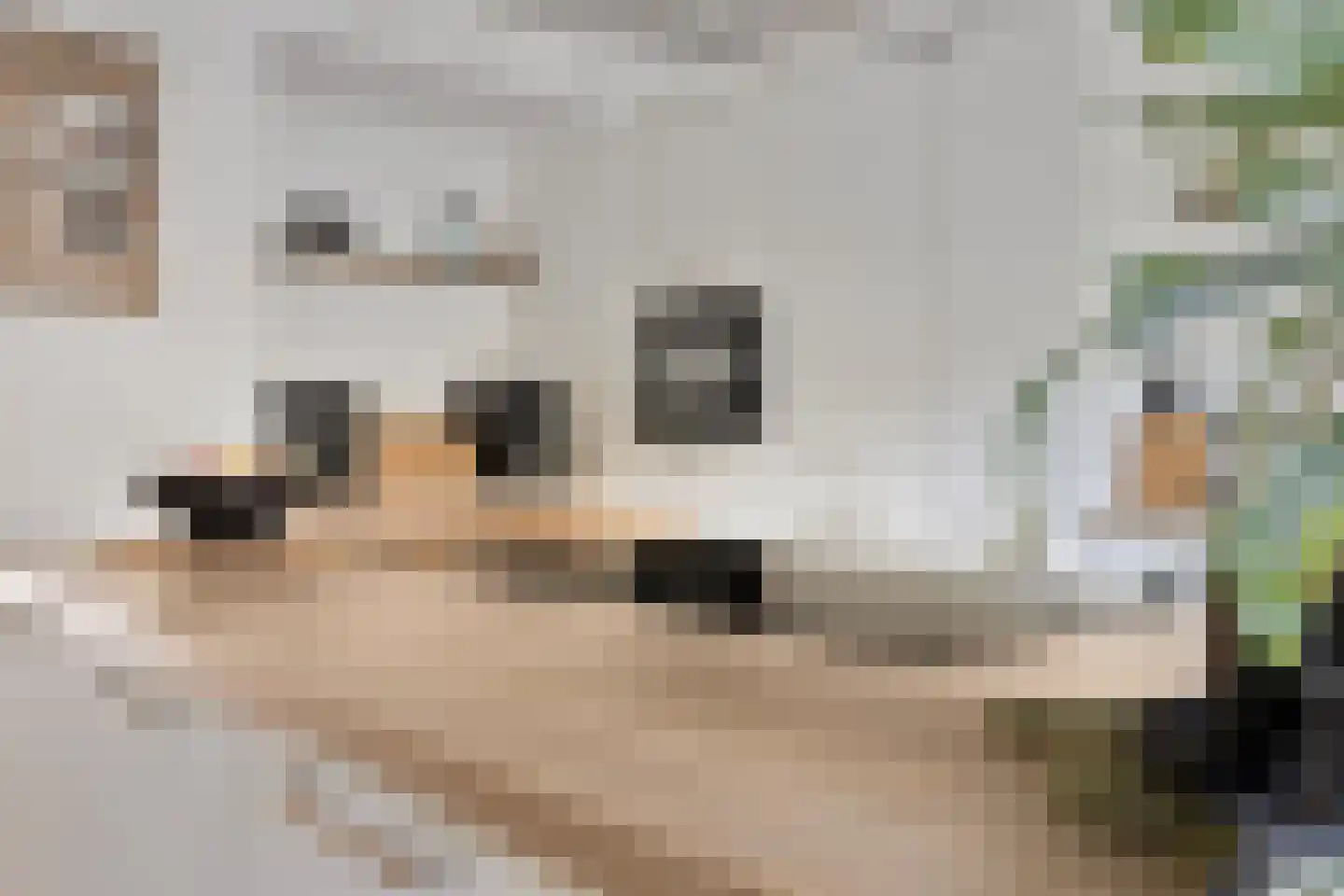 van Hogendorpstraat 4 Dinteloord thumbnail 13
