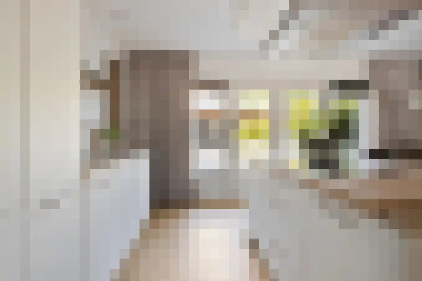 van Hogendorpstraat 4 Dinteloord thumbnail 15