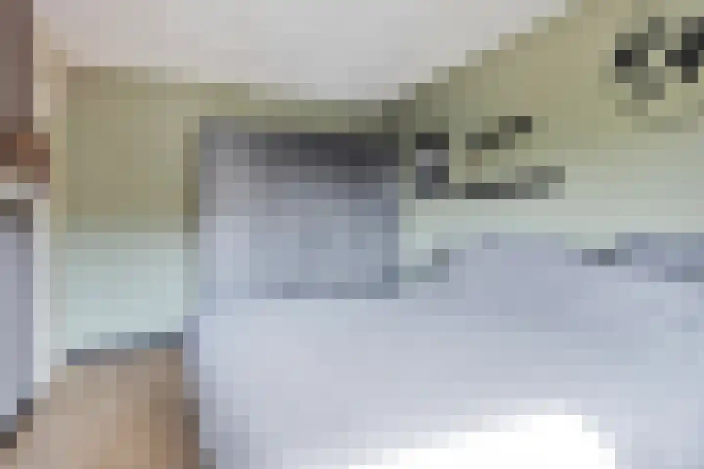 van Hogendorpstraat 4 Dinteloord thumbnail 21