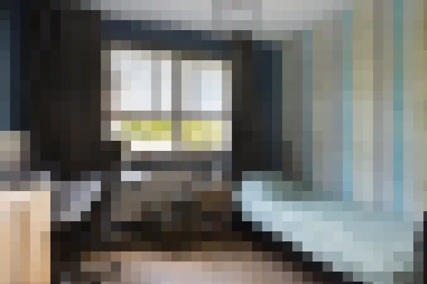 van Hogendorpstraat 4 Dinteloord thumbnail 26