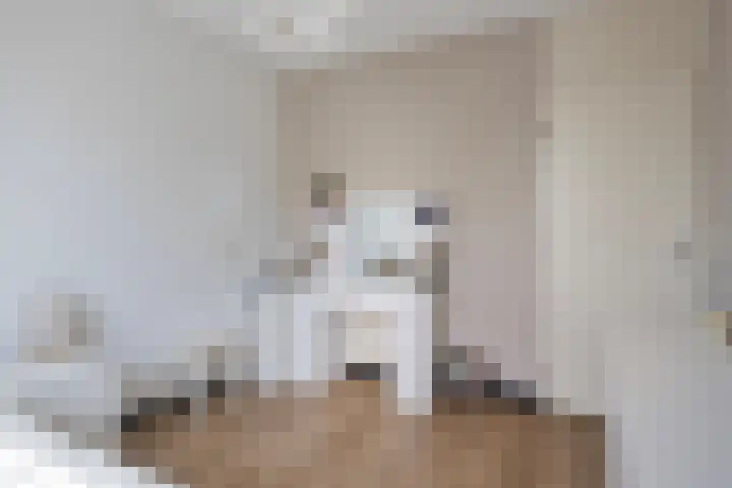 van Hogendorpstraat 4 Dinteloord thumbnail 29