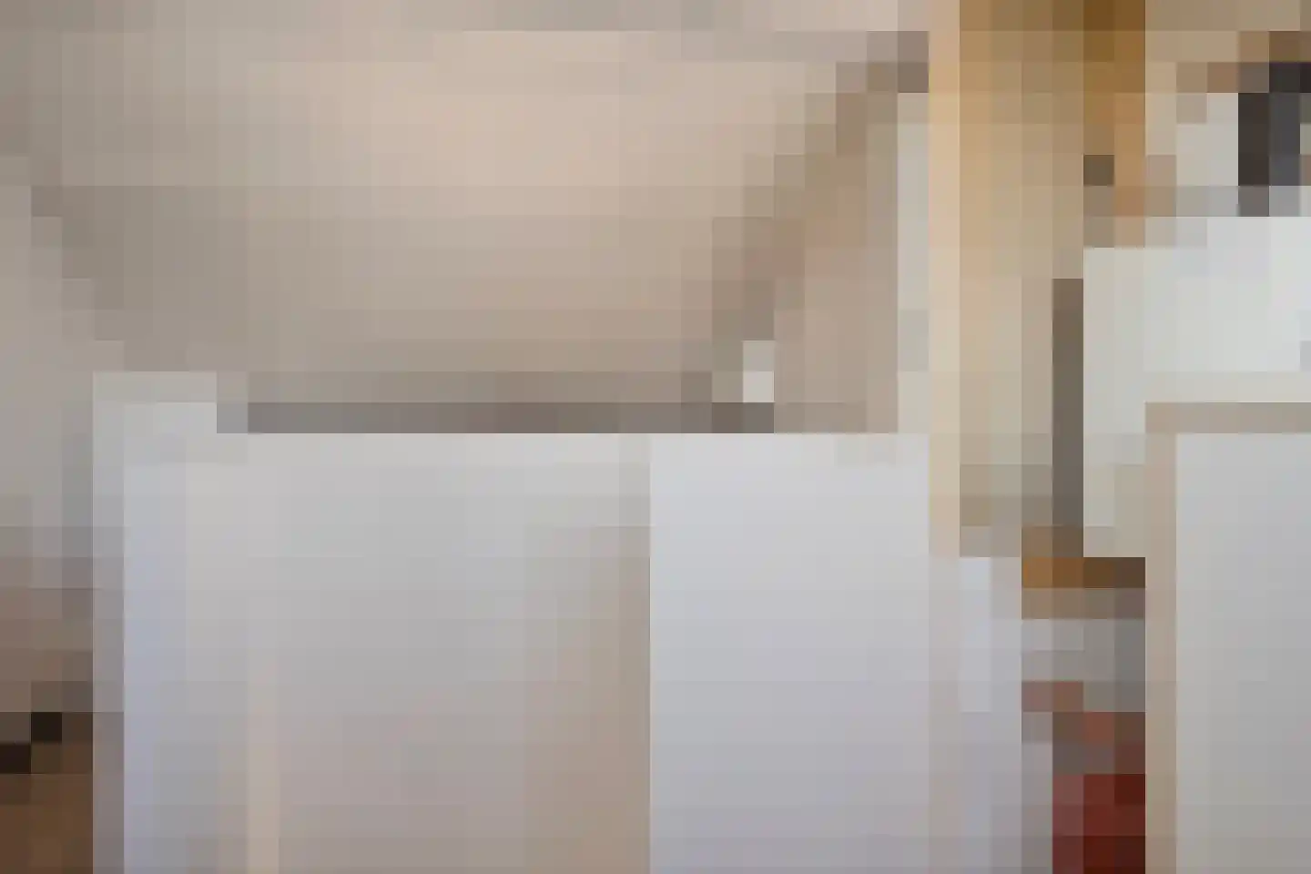 van Hogendorpstraat 4 Dinteloord thumbnail 30