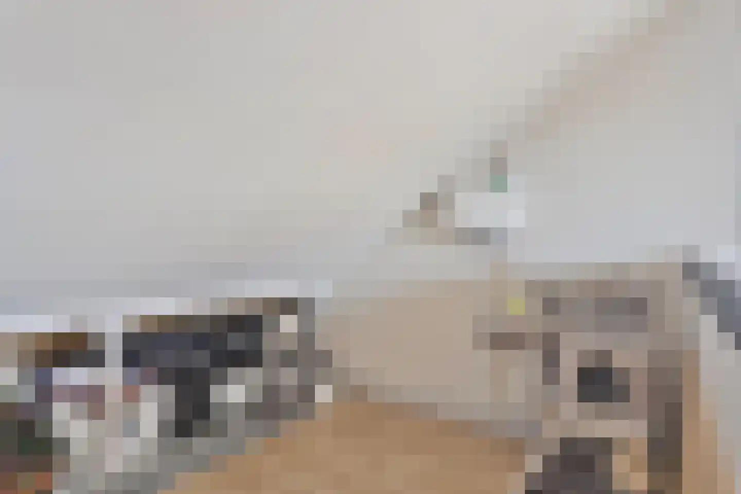 van Hogendorpstraat 4 Dinteloord thumbnail 31