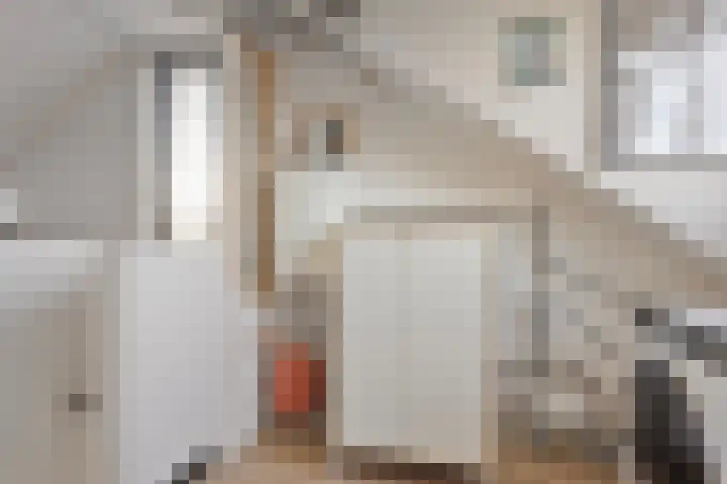 van Hogendorpstraat 4 Dinteloord thumbnail 32