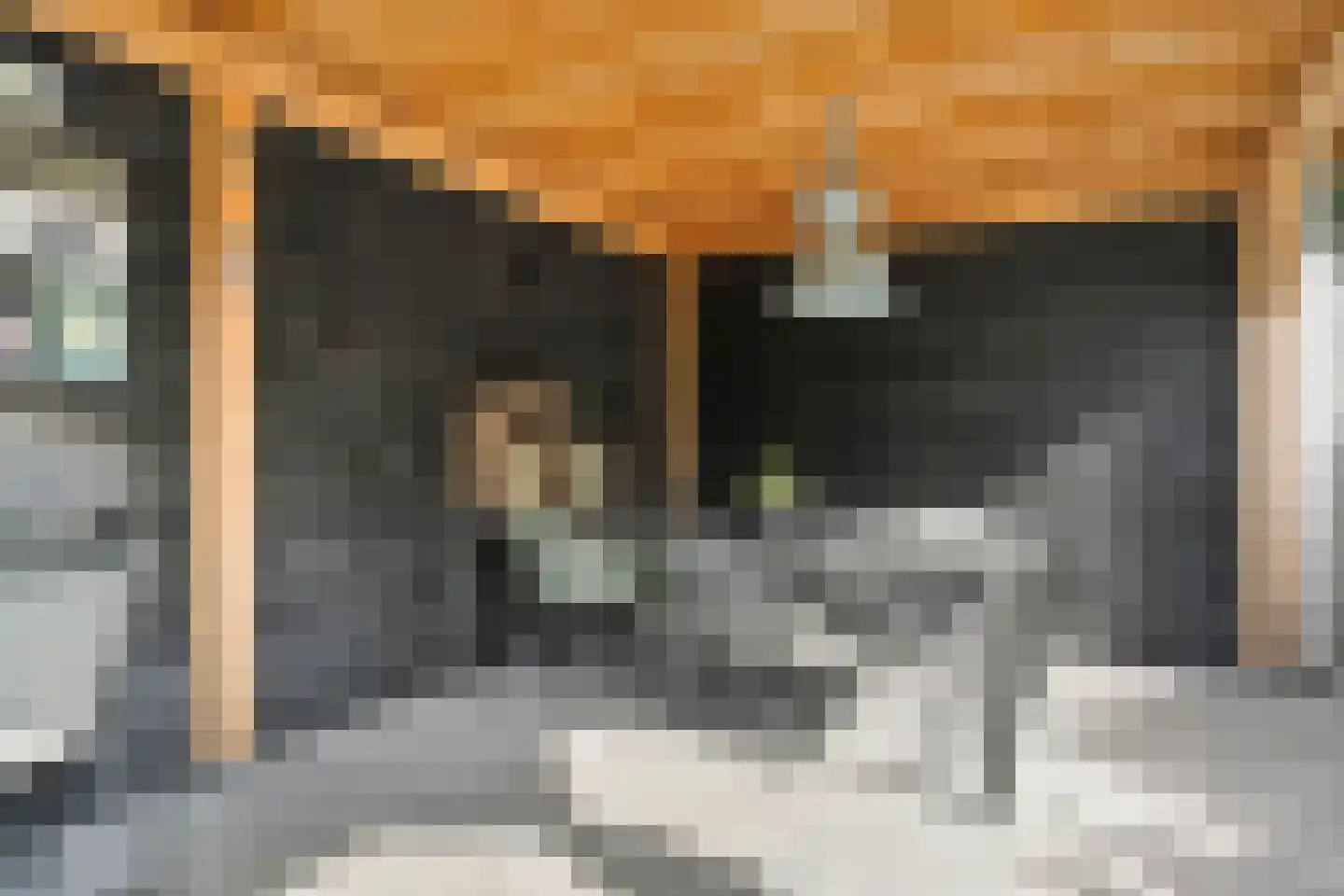 van Hogendorpstraat 4 Dinteloord thumbnail 38