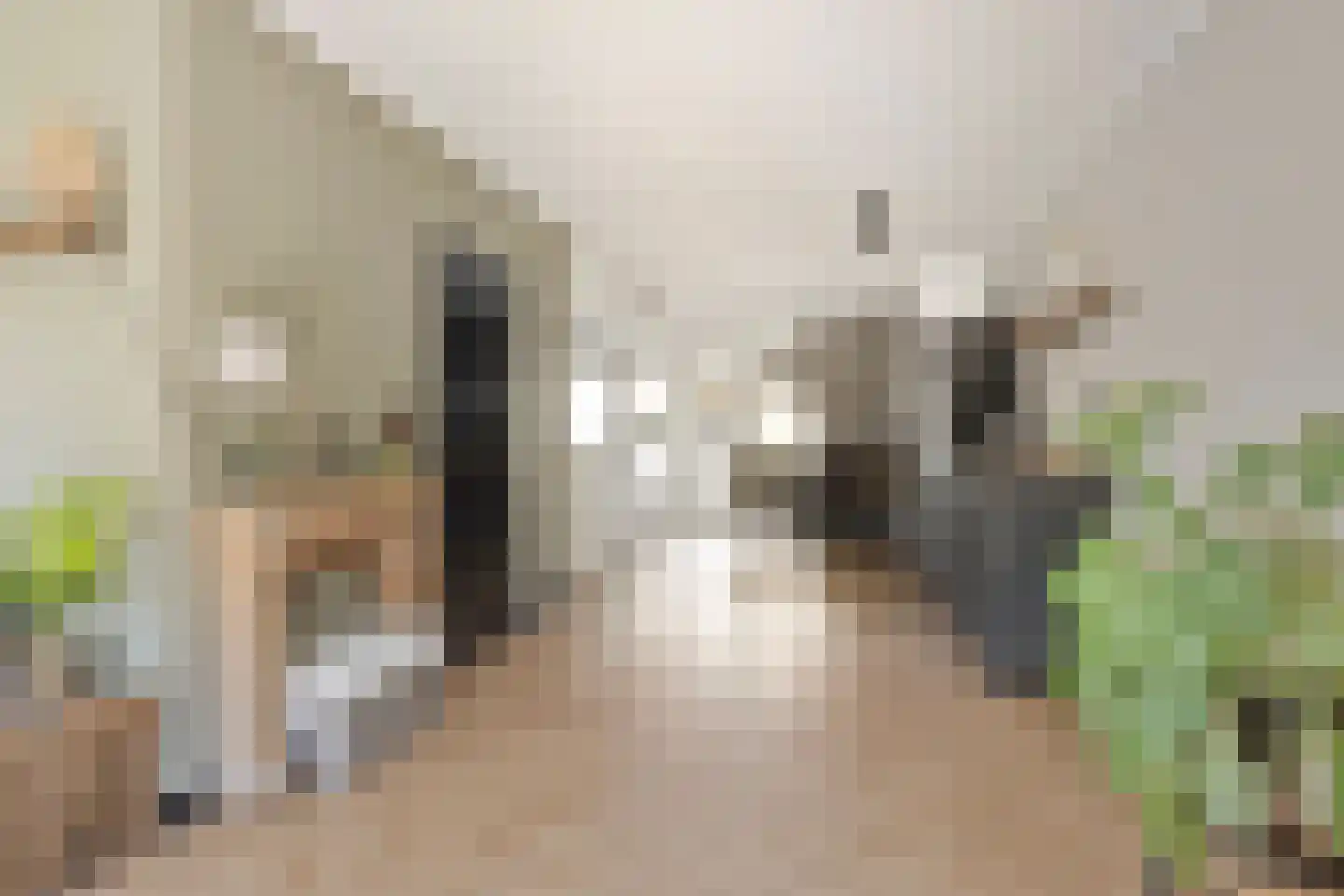 van Hogendorpstraat 4 Dinteloord thumbnail 9