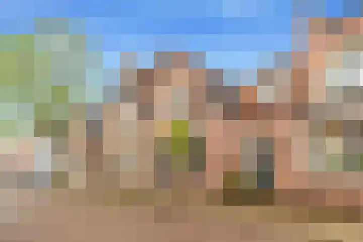 van Hogendorpstraat 4 Krommenie thumbnail 26