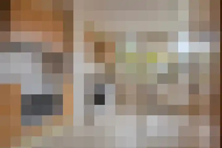 van Hogendorpstraat 4 Sneek thumbnail 14