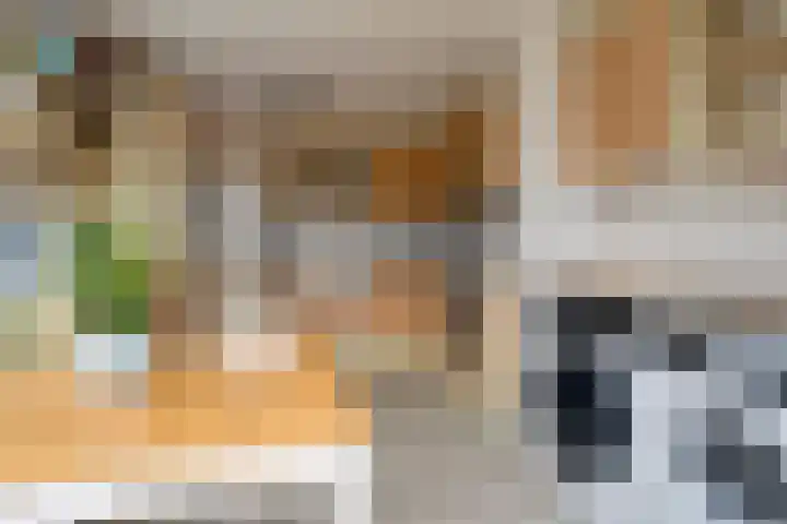 van Hogendorpstraat 4 Sneek thumbnail 15