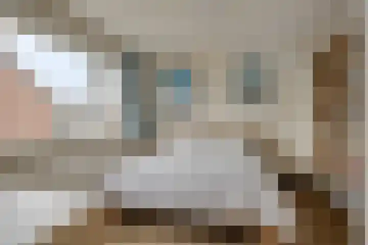 van Hogendorpstraat 4 Sneek thumbnail 19