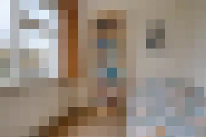 van Hogendorpstraat 4 Sneek thumbnail 29