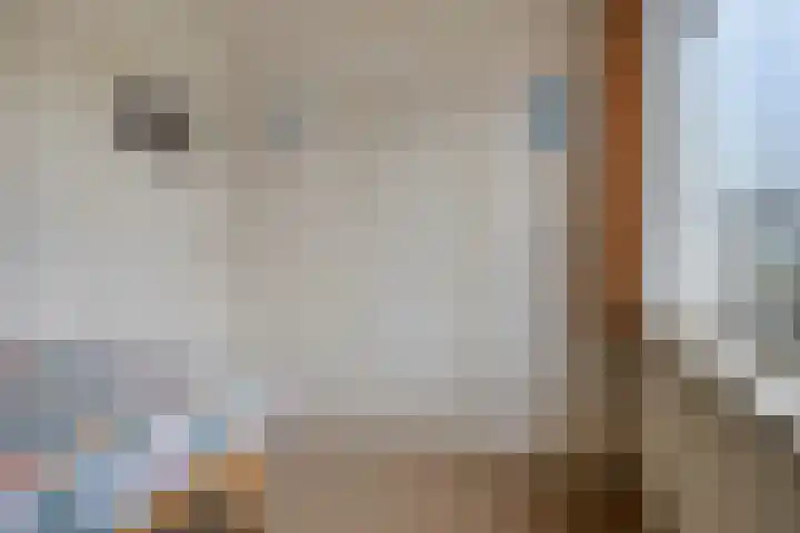 van Hogendorpstraat 4 Sneek thumbnail 30