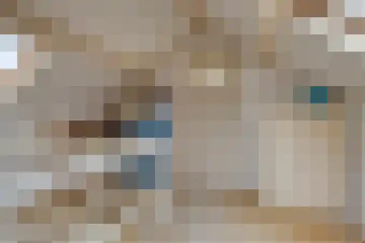 van Hogendorpstraat 4 Sneek thumbnail 31