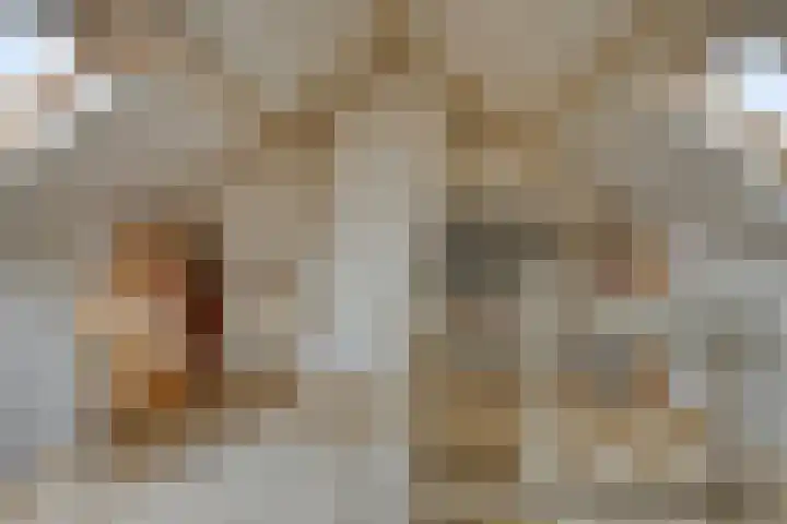 van Hogendorpstraat 4 Sneek thumbnail 32