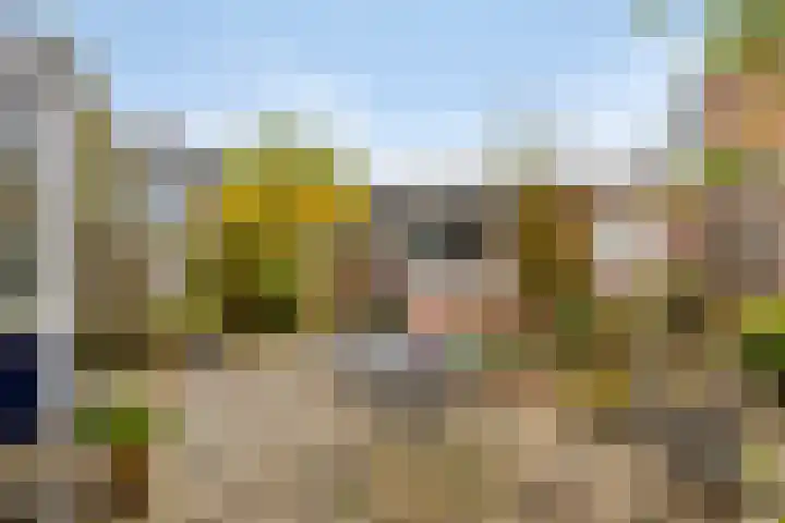 van Hogendorpstraat 4 Sneek thumbnail 34