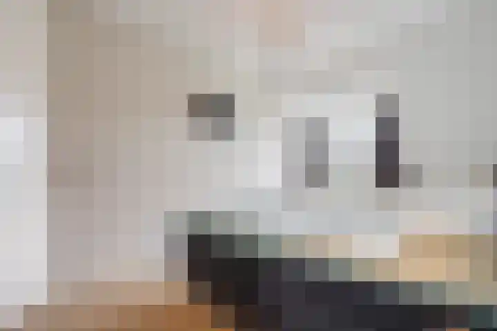 van Hogendorpstraat 4 Sneek thumbnail 7