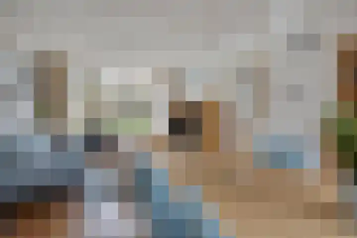 van Hogendorpstraat 4 Sneek thumbnail 8