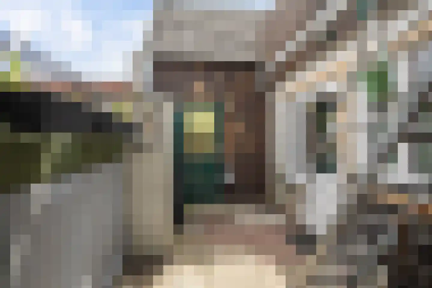 Van Hogendorpstraat 42 Den Helder thumbnail 16