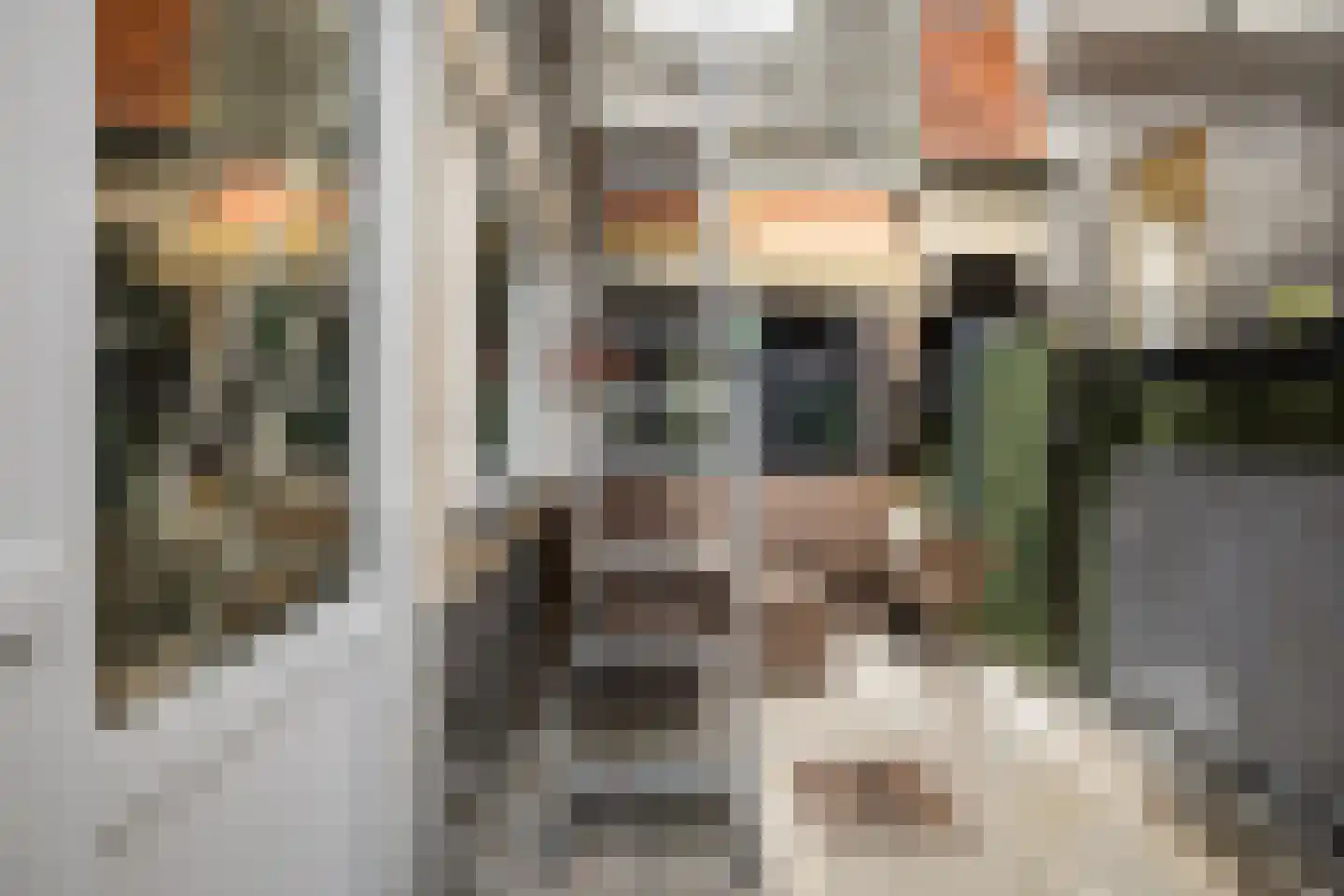 Van Hogendorpstraat 42 Den Helder thumbnail 18