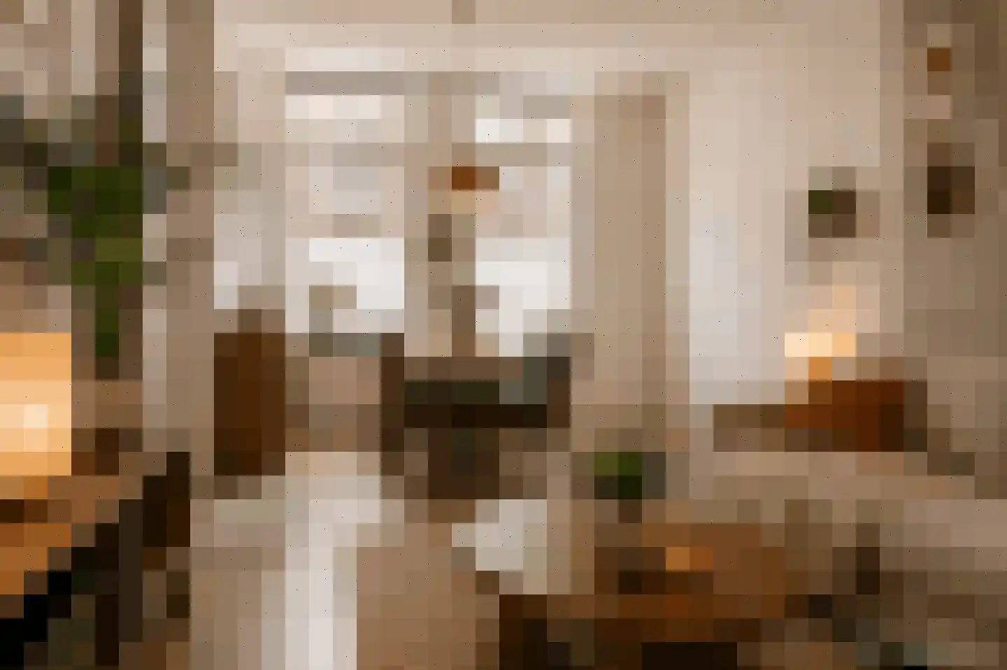 Van Hogendorpstraat 42 Den Helder thumbnail 4