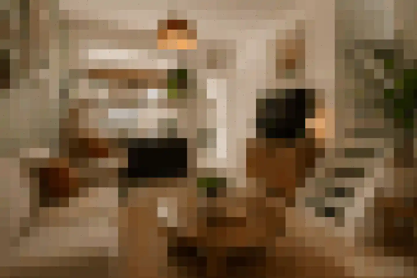 Van Hogendorpstraat 42 Den Helder thumbnail 6