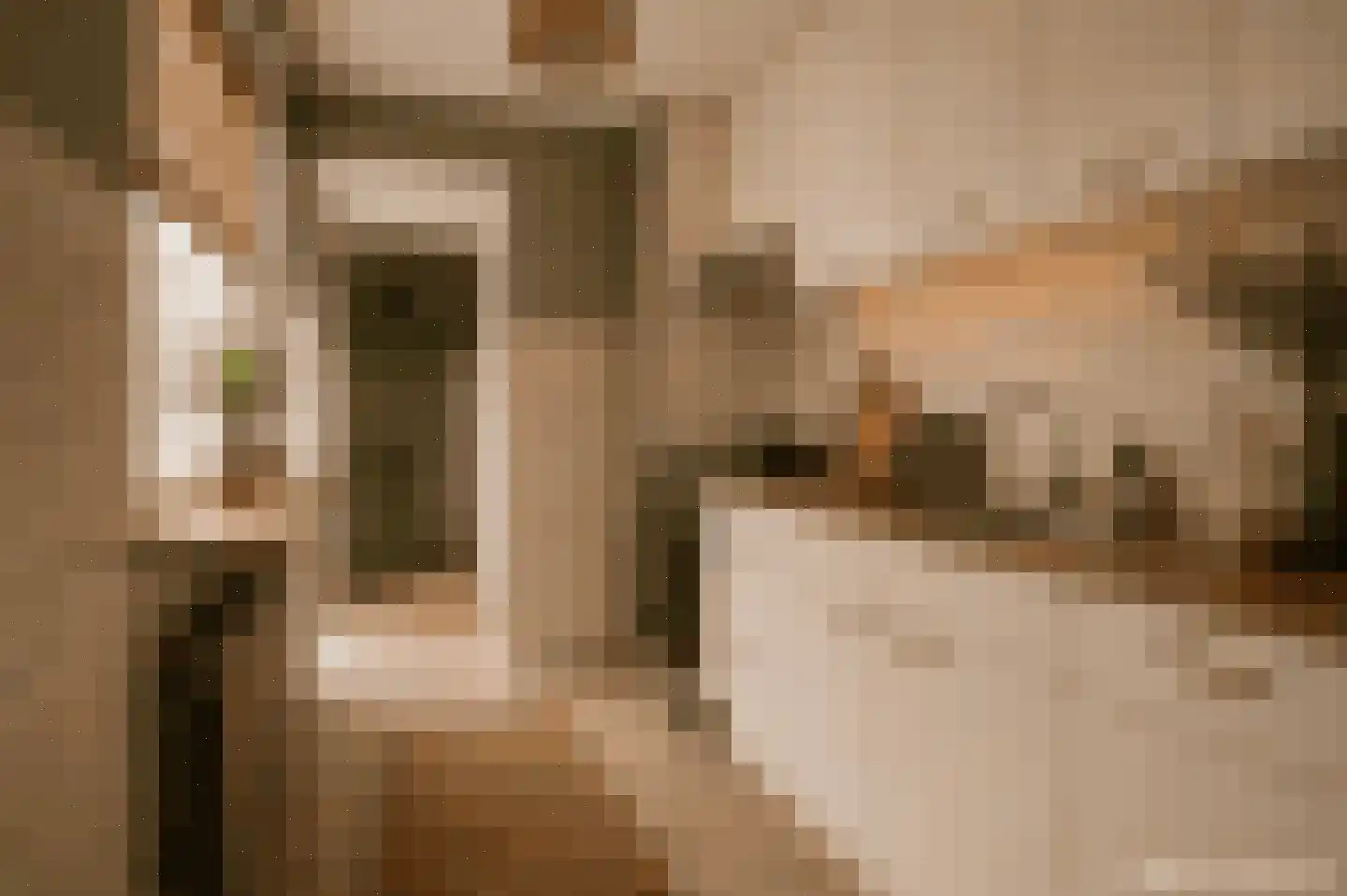 Van Hogendorpstraat 42 Den Helder thumbnail 9