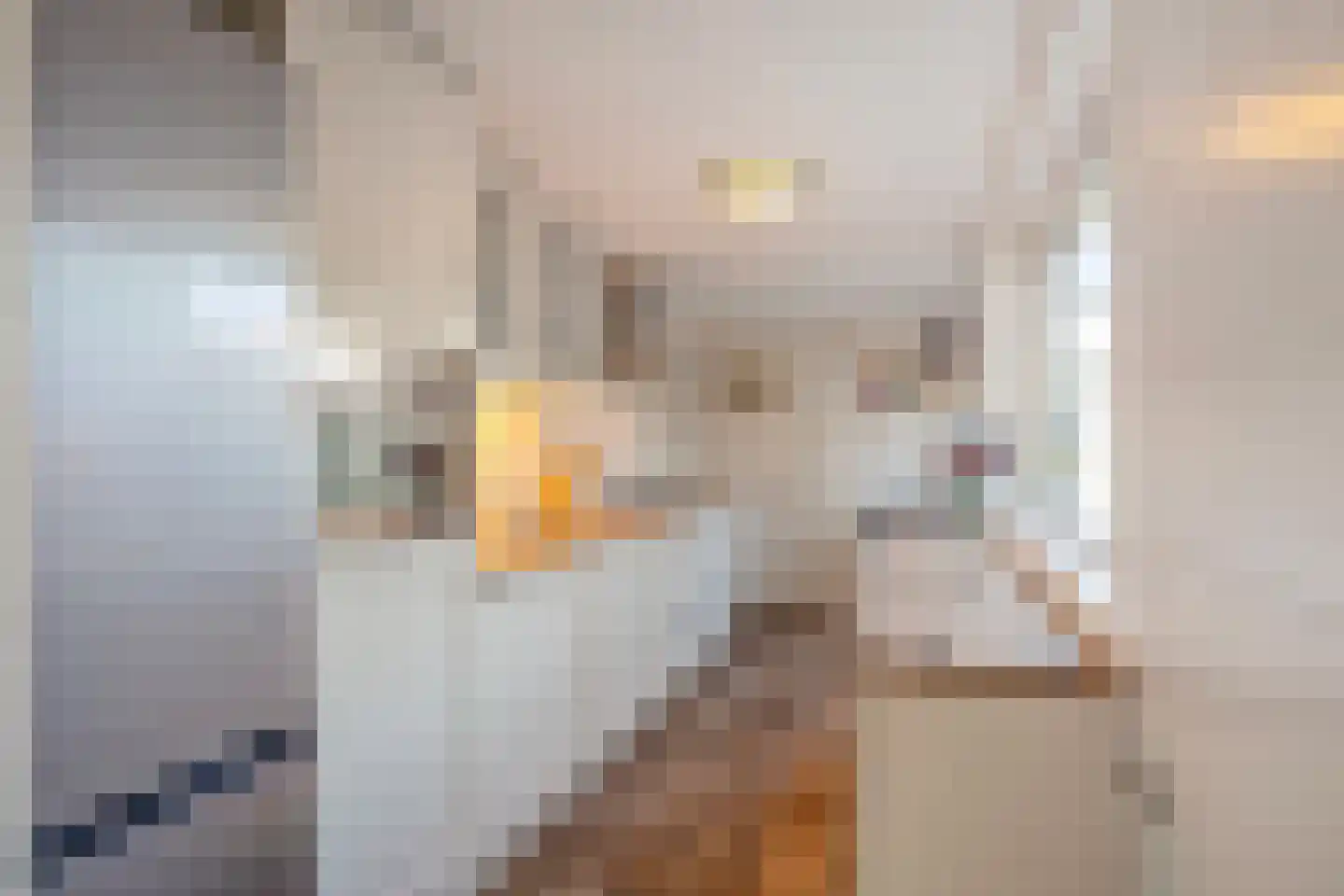 Van Hogendorpstraat 43 Den Helder thumbnail 11