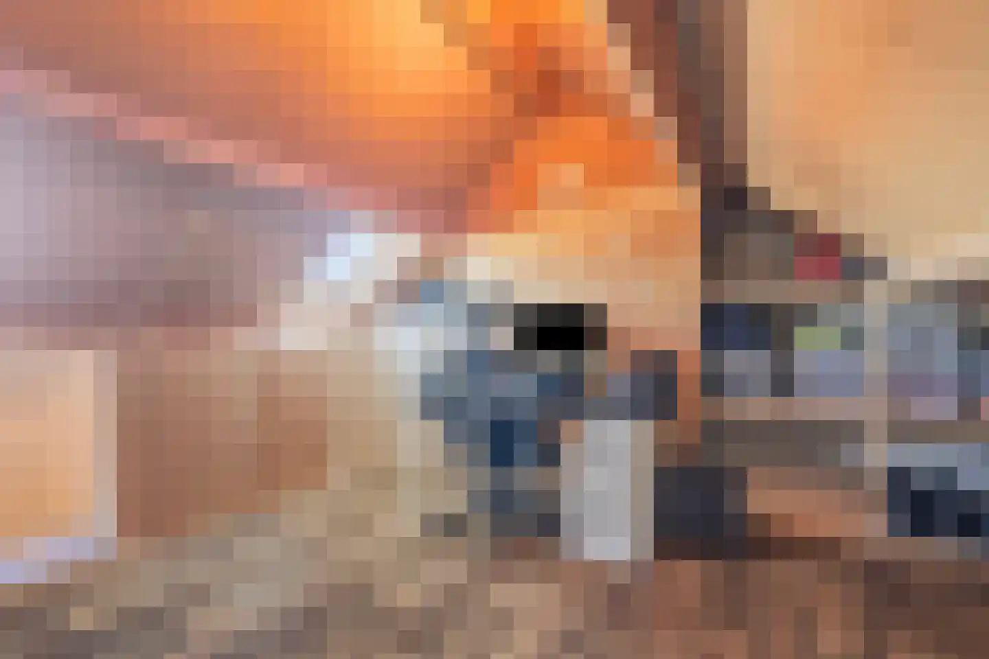Van Hogendorpstraat 43 Den Helder thumbnail 25
