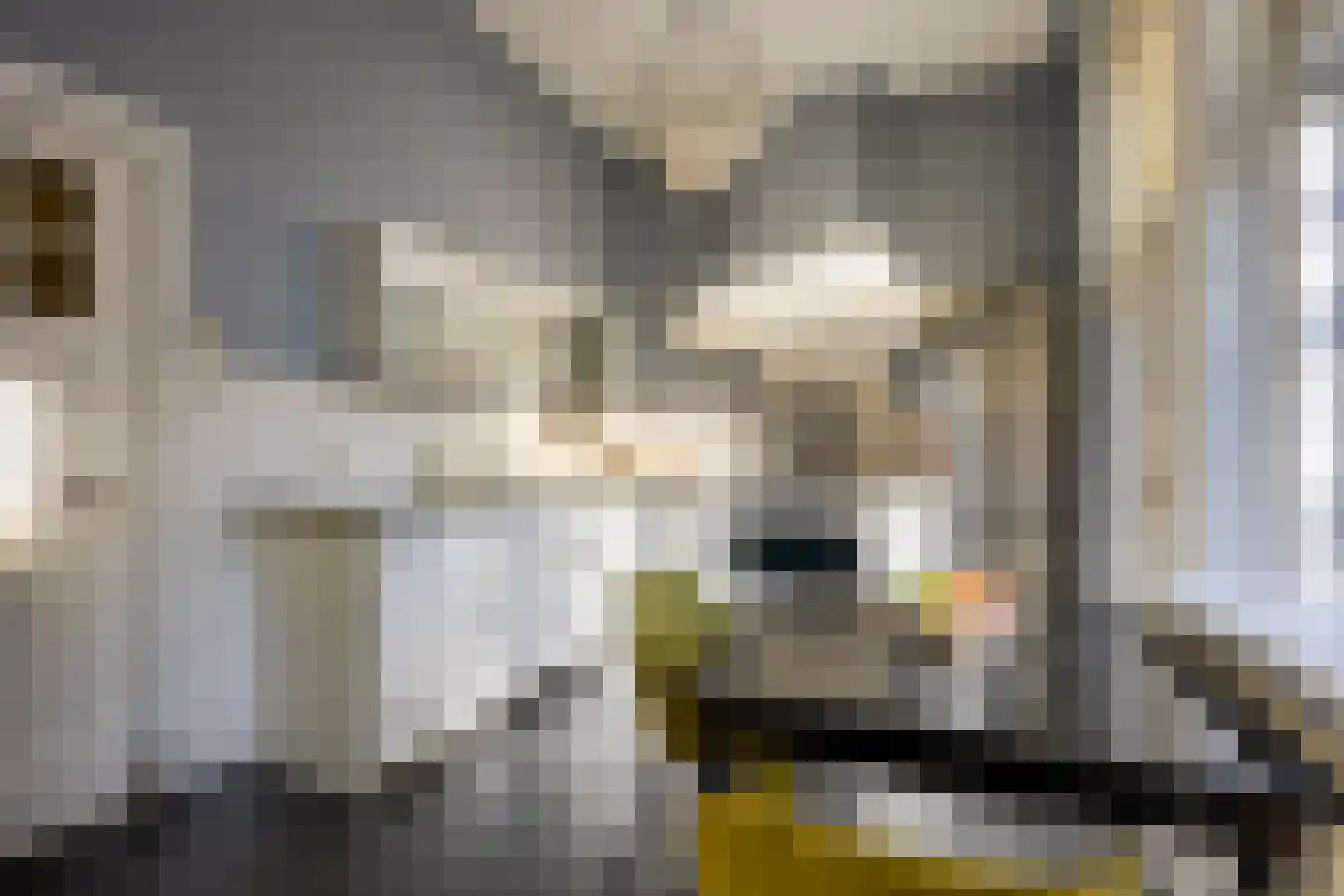 Van Hogendorpstraat 5 Utrecht thumbnail 18
