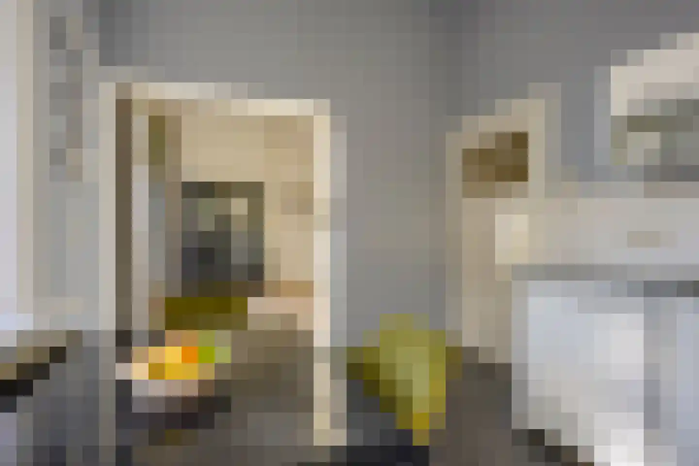 Van Hogendorpstraat 5 Utrecht thumbnail 20