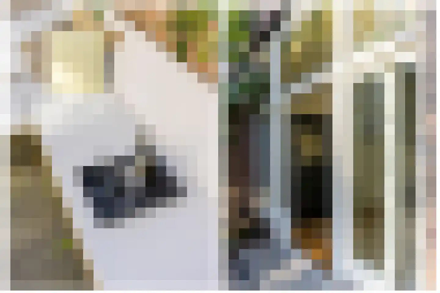 Van Hogendorpstraat 5 Utrecht thumbnail 24